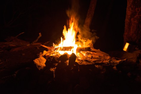 Tales around the campfire