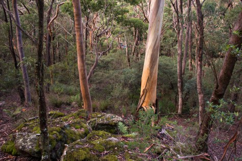 Chinamans gap- Mount Solitary