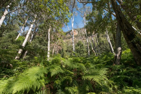 cliff lined views- april 2016- 2048