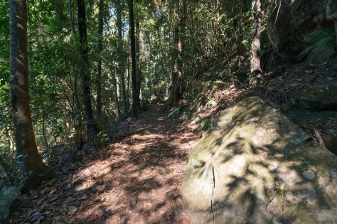 Entering the forest- april 2016- 2048