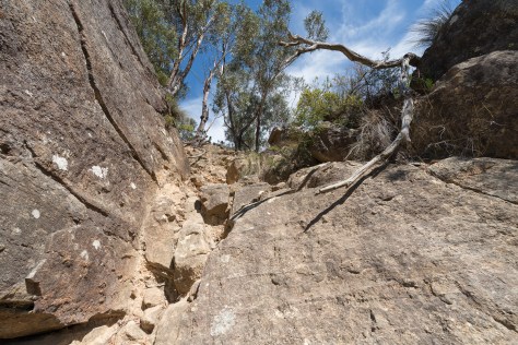 First steep scrample