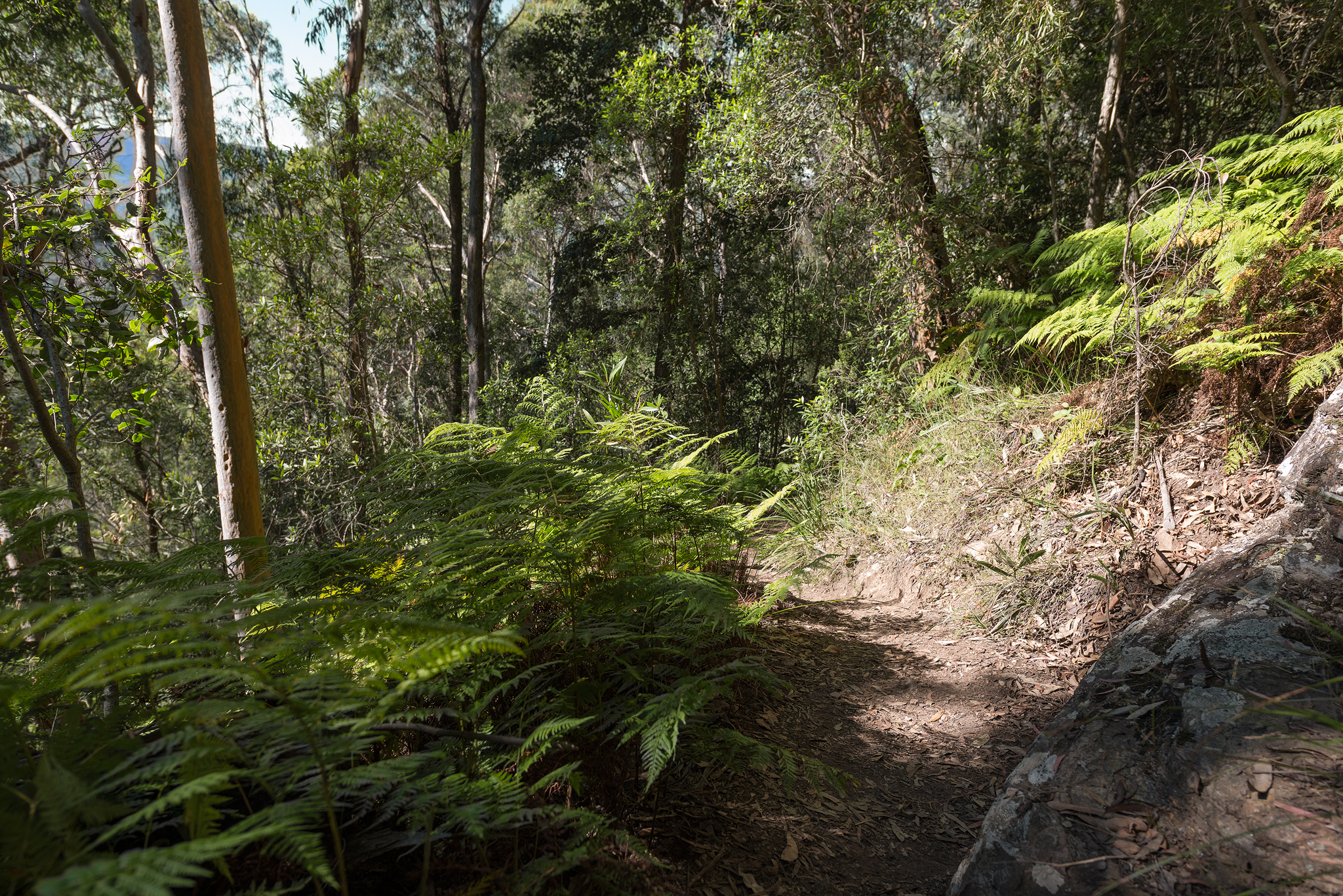 Golden stairs decent- april 2016- 2048