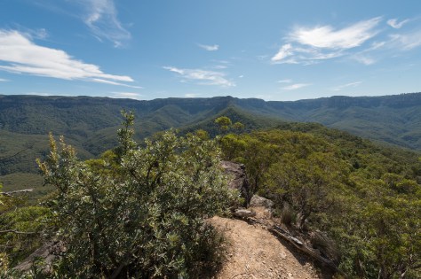 Katoomba cliffline views