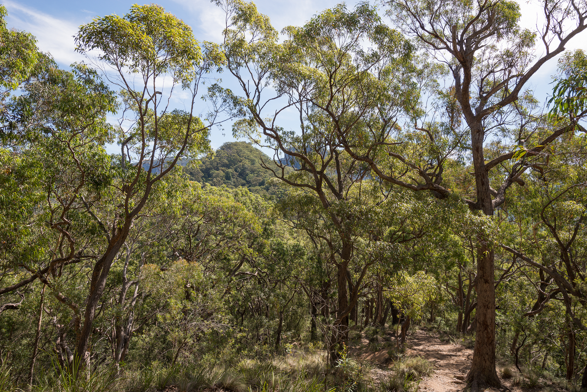 Ruined castle views- april 2016- 2048