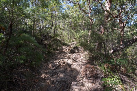 The uphill climb begins- april 2016- 2048