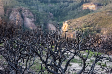 narrowneck plateau, Katoomba