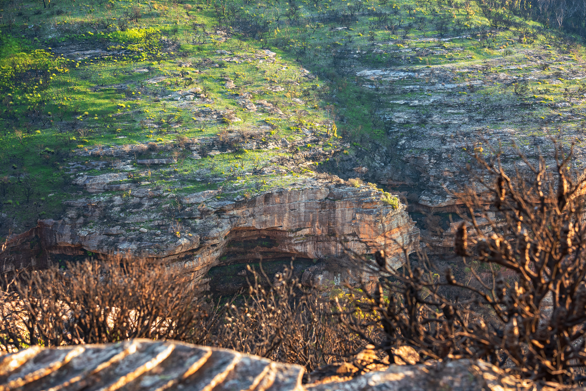 Resilient Lands- Ben Pearse 2020 (2)
