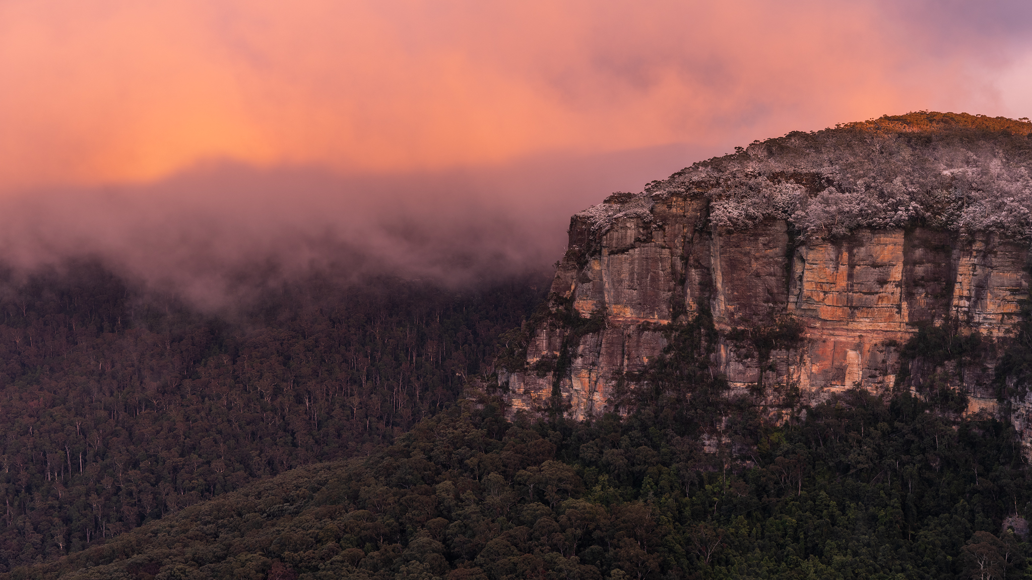 Snowfall in the Blue Mountains